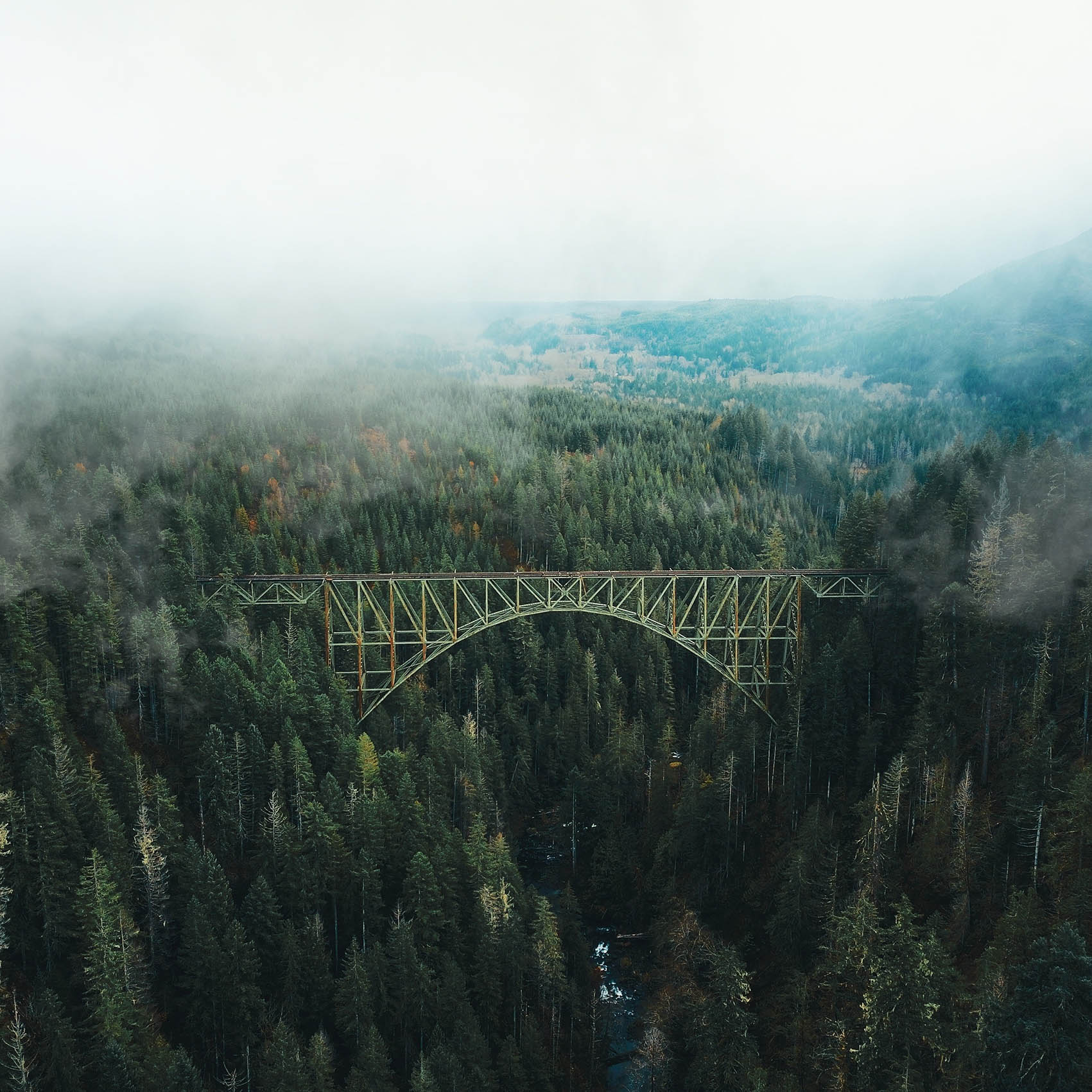Obraz mostu v lese